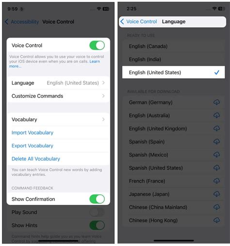 Change Voice Control settings on iPhone