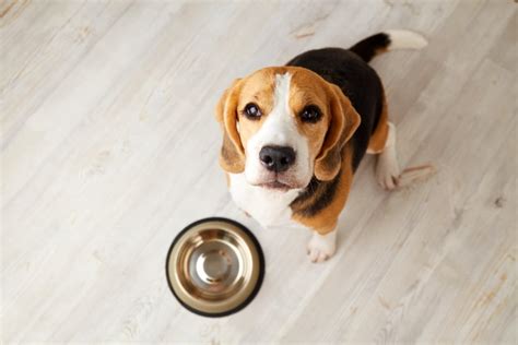 Changes in Appetite and Drinking