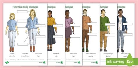 Changes in the Physical Body