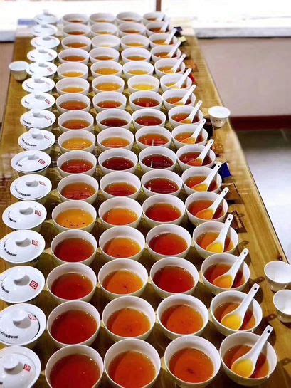 Changsha Tea Tasting Review: Zhangjiajie Cultural Day Trip