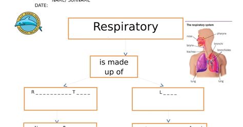 AMAZING SCIENCE CEIP MANUEL FERNÁNDEZ CHURRIANA UD 1. RESPIRATORY