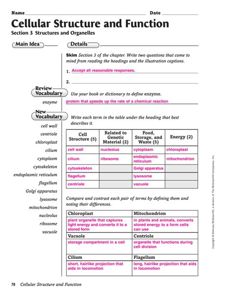 Chapter 3 Cell Structure And Function Worksheet Answer Key