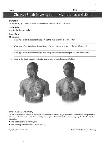 Unveiling the Mysteries of Skin and Membranes: A Deep Dive into Chapter 3 Lab Investigation