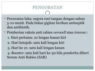 Pengobatan Rabies