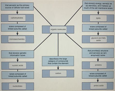 chemistry explains basic biochemistry Biochemistry, Chemistry