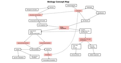 BIOLOGY CONCEPT MAP