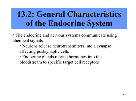 Chapter 7 13 Endocrine System