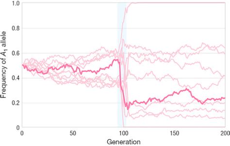 Concept Definition Map Template Collection