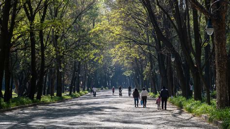 Chapultepec Forest walking path