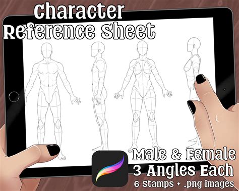 Character Reference Sheet Canvas Size