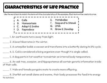 Characteristics Of Life Worksheet Answers - Lesson 1 Characteristics Of