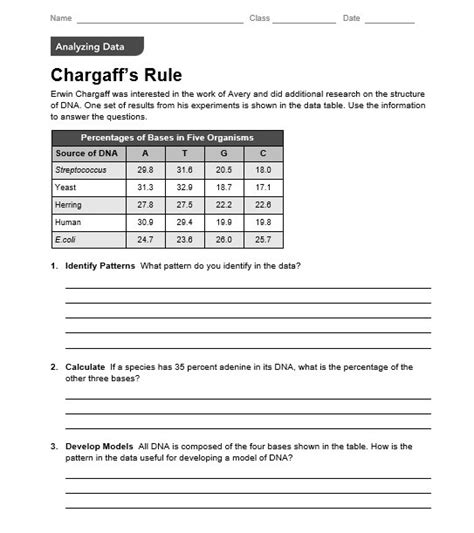 Chargaffs Rule Worksheet Answers