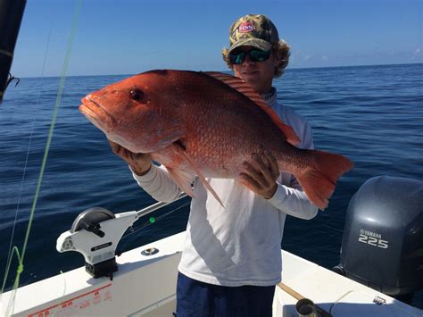 Charleston Deep Sea Fishing