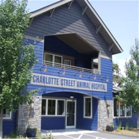 Top-rated Charlotte Street Animal Hospital in Asheville: Exceptional Care for Your Furry Friend