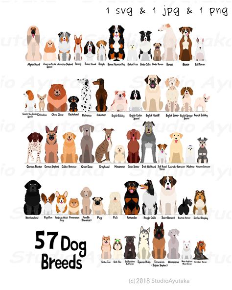Chart 57 Dog Breeds