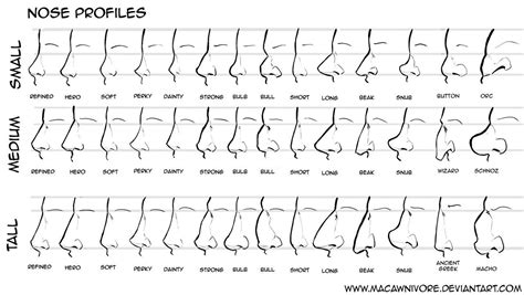 Chart Nose Types