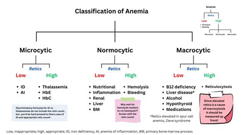 Chart Of Anemias