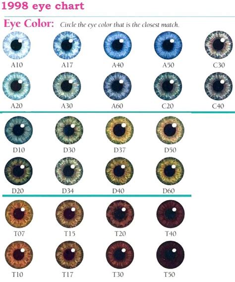 Chart Of Eye Colors