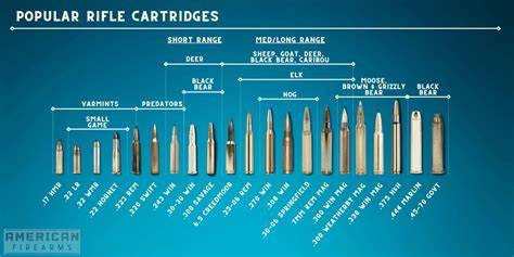 Chart Of Rifle Caliber Sizes