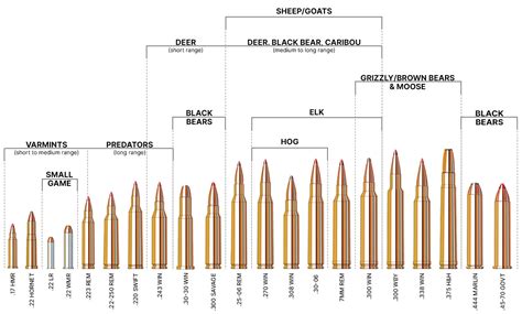 Chart Of Rifle Calibers