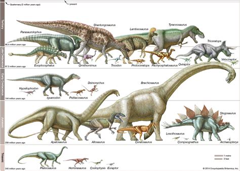 Chart Types Of Dinosaurs