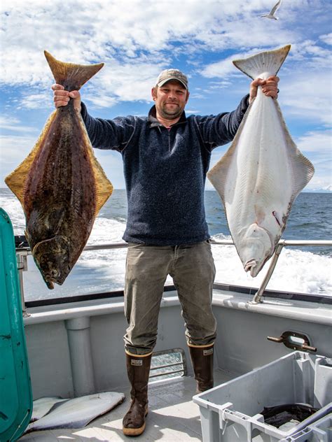 Charter Halibut