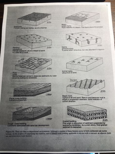 Charting Ancient Lands And Seas And Deciphering Depositional Environment