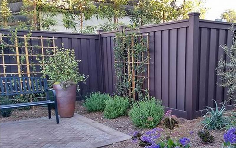 Chaste Tree As Privacy Fence: The Ideal Alternative To Traditional Fencing