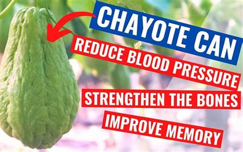 Chayote Blood Pressure