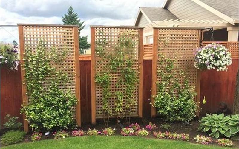 Cheap Plant Privacy Fence Ideas