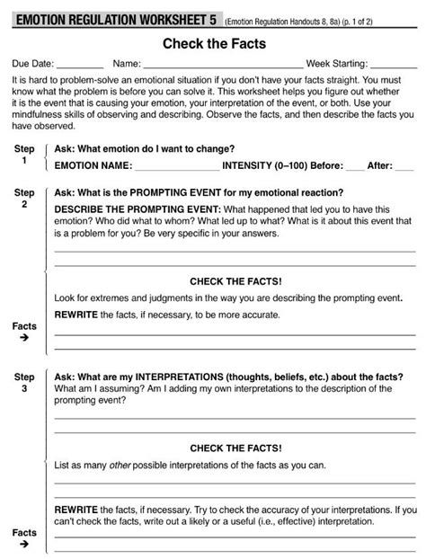 Check The Facts Dbt Worksheet