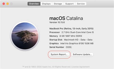 Check CPU Configuration of Your Mac