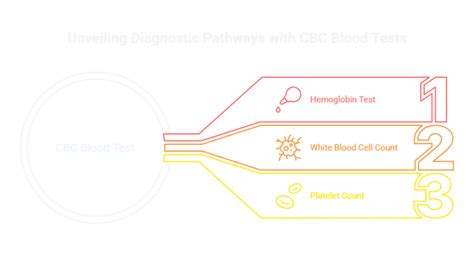 Check Cbc: Complete Guide For Beginners