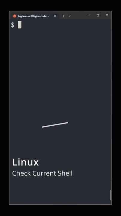 Check Your Current Shell