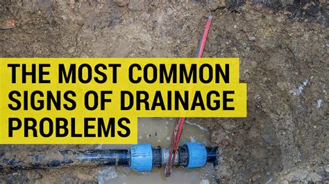 Check for Drainage Issues