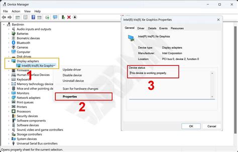 Check problem from Device manager