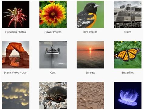 Checking for Public Domain Graphics
