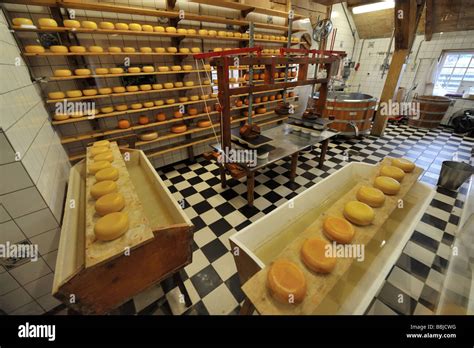 Cheese Factory Netherlands