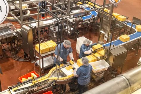 Cheese Factory Tour
