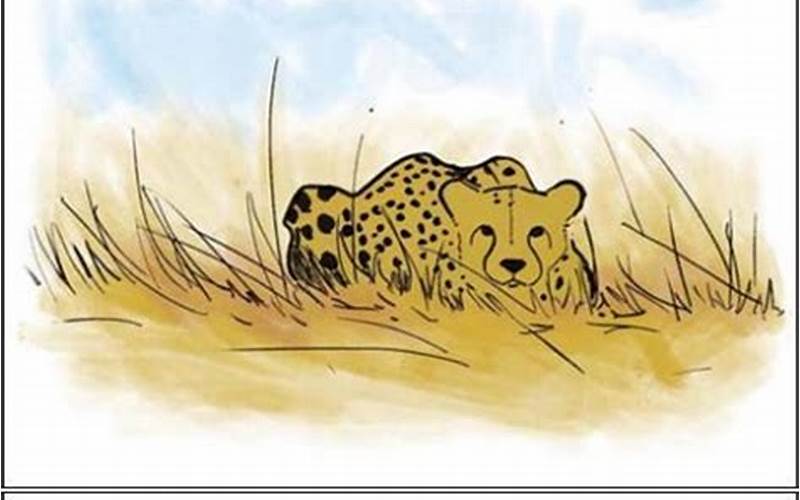 Cheetah Vs Gazelle Meme