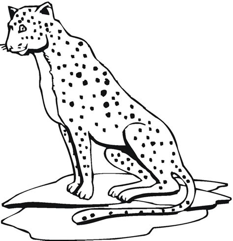 Cheetah Coloring Page Free Printable