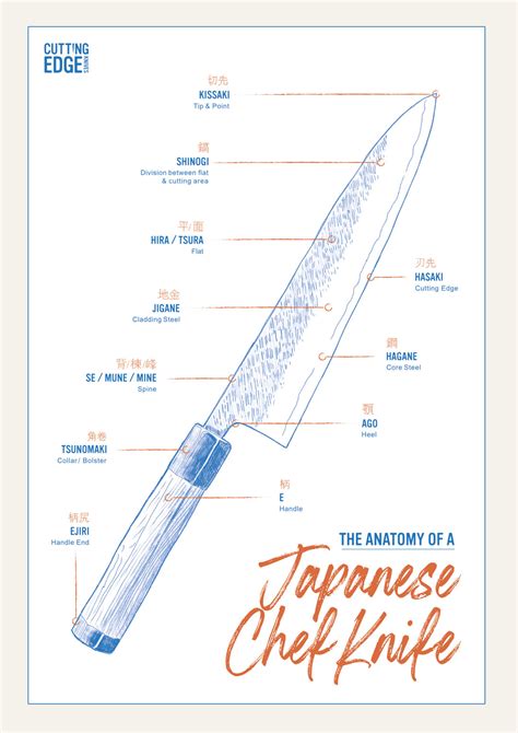 Chef Knife Anatomy