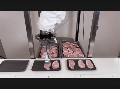 Chef Knife Automation