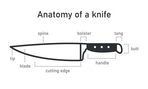 Chef Knife Labeled