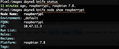 Chef Knife Node Status