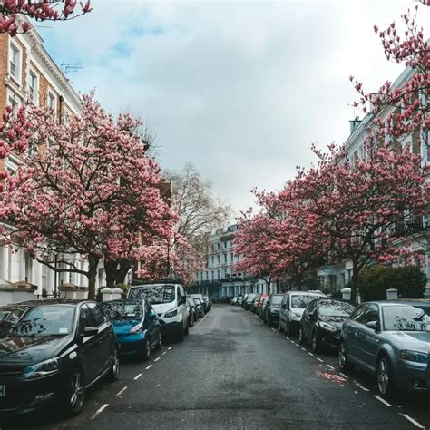 London Chelsea Walking Tour: Stories, Sights, and Bites Review