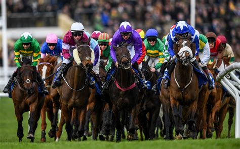 Cheltenham Gold Cup: Who Has What It Takes To Land National Hunt Racing's Biggest Prize?