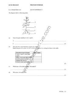 AP Bio Topic 1.5 Nucleic Acids worksheet