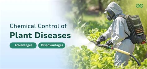 Chemical Control Options