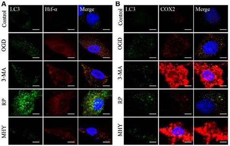 Chemical Interventions